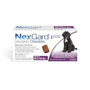 NexGard® Flea and Tick Chew for Dogs 24-60 lbs