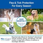 NexGard® Flea and Tick Chew for Dogs 24-60 lbs