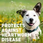 Interceptor for Dogs & Cats | 6-Month Supply