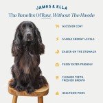 James & Ella Chicken Kibble and Raw Dog Food