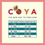 COYA Freeze-Dried Fish Dog Food - Grain Free