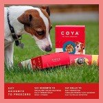 COYA Freeze-Dried Fish Dog Food - Grain Free