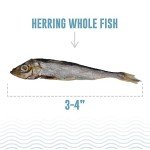 Icelandic Whole Herring Fish Dog Treats - 3oz