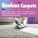 Dirtbusters Carpet Cleaner Shampoo for Dogs (5L)