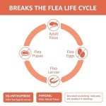 Amazon Basics Flea and Tick Treatment for Small Dogs