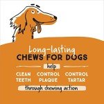 Peanut Butter Double Treat Bones for Dogs