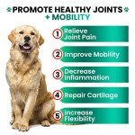 Hemp Joint Supplement for Dogs - 170 Treats