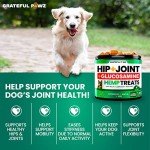 Hemp Joint Supplement for Dogs - 170 Treats