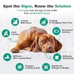 Doggie Dailies Glucosamine Chews for Dogs 225ct