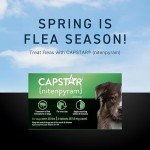 Fast-Acting Flea Treatment for Medium & Large Dogs