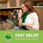 Fast-Acting Flea Treatment for Medium & Large Dogs
