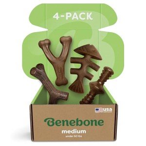 Benebone Medium 4-Pack Chew Toys for Dogs