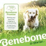 Benebone Medium 4-Pack Chew Toys for Dogs