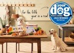 Forthglade Grain-Free Wet Dog Food Variety Pack