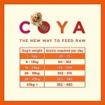 COYA Freeze-Dried Turkey Dog Food - Grain Free