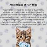 Frozen Chicken Mince for Dogs - 4kg Box