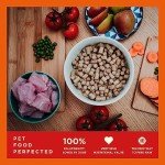 COYA Freeze-Dried Turkey Dog Food - Grain Free