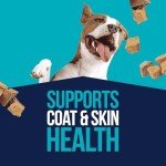 Stewart Wild Salmon Freeze-Dried Dog Treats, 2.75 oz