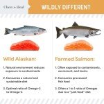 Salmon Jerky Dog Treats for Healthy Skin & Coat