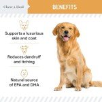 Salmon Jerky Dog Treats for Healthy Skin & Coat
