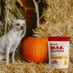 Pumpkin Dog Treats by Kaley Cuoco, 6 Oz