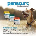 Panacur C Dog Dewormer (Fenbendazole) 4g, 3 Count