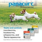 Panacur C Dog Dewormer (Fenbendazole) 4g, 3 Count