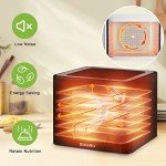 Biolomix 6-Tray Food Dehydrator with LED Control