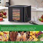 Biolomix 6-Tray Food Dehydrator with LED Control