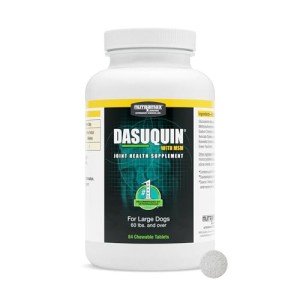 Nutramax Dasuquin Joint Health for Large Dogs