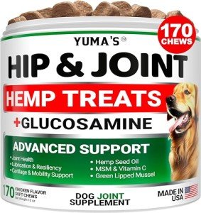 Hemp Joint Supplement Chews for Dogs - 170 Counts