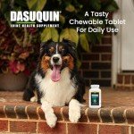 Nutramax Dasuquin Joint Health for Large Dogs