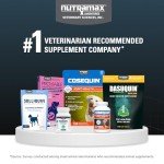 Nutramax Dasuquin Joint Health for Large Dogs
