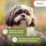 Trifexis Heartworm & Flea Prevention for Dogs 5-10 lbs