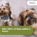 Trifexis Heartworm & Flea Prevention for Dogs 5-10 lbs