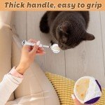 7-Inch Stainless Steel Pet Food Spoon Set