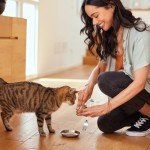 7-Inch Stainless Steel Pet Food Spoon Set