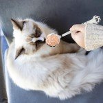 7-Inch Stainless Steel Pet Food Spoon Set