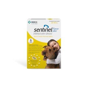 Sentinel Flavor Tabs for Medium Dogs - 6 Chews