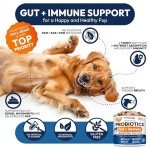 Dog Probiotics Chews for Gut Health & Relief