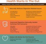 Digestive Health Supplement for Dogs - Cheddar Cheese