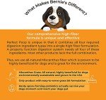 Digestive Health Supplement for Dogs - Cheddar Cheese