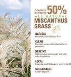 Digestive Health Supplement for Dogs - Cheddar Cheese