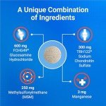 Nutramax Cosequin Maximum Strength Joint Supplement for Dogs