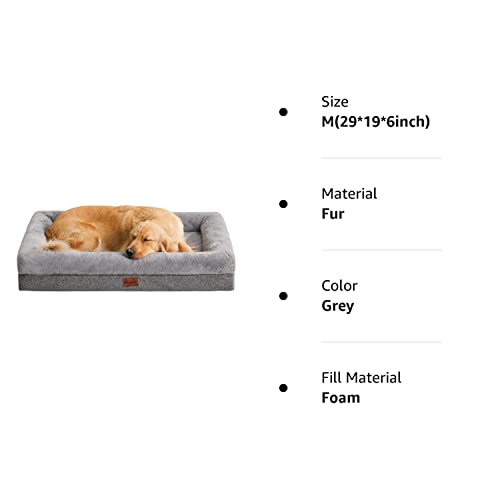 Orthopedic Washable Dog Bed for Medium Dogs
