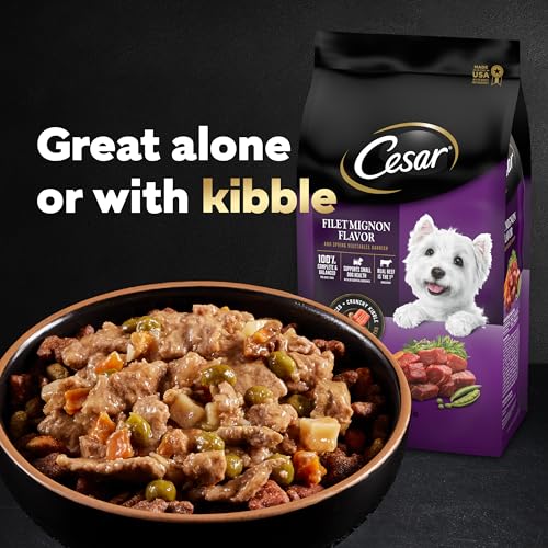 Cesar Wet Dog Food Variety Pack (24)