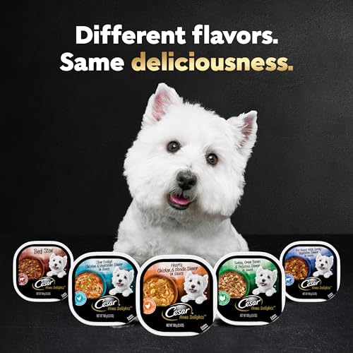 Cesar Wet Dog Food Variety Pack (24)