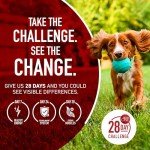 Purina ONE Chicken & Rice Dry Dog Food 31.1 lb