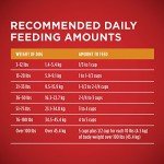 Purina ONE Chicken & Rice Dry Dog Food 31.1 lb