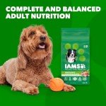 IAMS High Protein Mini Chunks Dog Food, 7 lb
